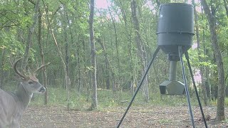 Converted 2 old feeders into one gravity feeder! Getting food plots ready!