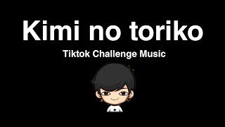 Kimi no toriko I tiktok challenge music I chas for you