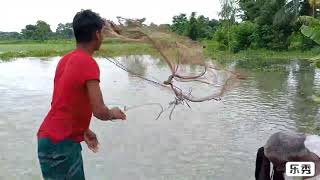 জাল দিয়ে মাছ ধরা, Fishing with nets.