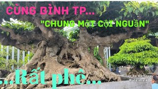 Chia sẻ TP "chung một cội nguần"