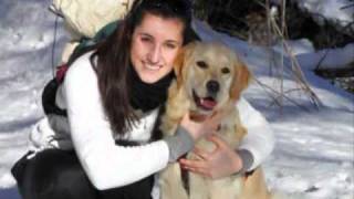 camminando per joy. Cani. Golden Retriever. Walk together for Joy. Fiends Forever.