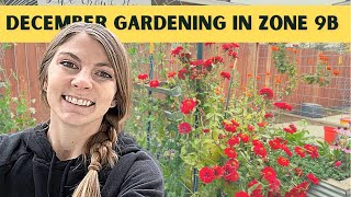 DECEMBER GARDEN TOUR / Zone 9b / Cool-Season Gardening with Leafy Greens, Brassicas, Garlic & Onions