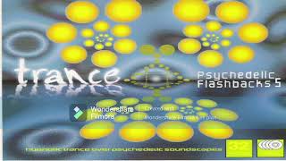 V.A. - Trance - Psychedelic Flashbacks Vol.5 DiSC 3