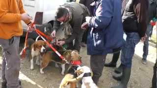 Brevet de chasse sur lievre chez les LALANDES en AVEYRON SAVAJOL 1ere partie