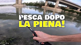 Pesca a SPINNING dopo la PIENA!