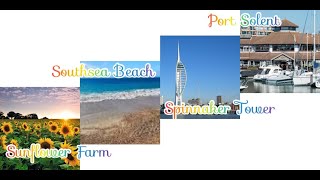 Day trip to Sunflower Farm at Hayling Island/South Sea/Spinnaker Tower