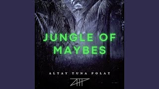 Jungle of Maybes