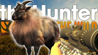 The Elusive Mountain Tahr - Sundarpatan - theHunter Call of the Wild