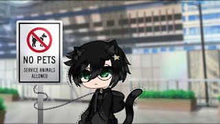 “No Pets Allowed”||HP||Lil Cat Harry 🥺🥺||MEME/TREND||OG?||@CoolShadow_Offical||CW: Flashing Color 💡