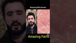 World Best Amazing Facts