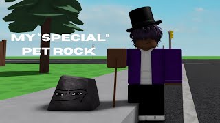 Roblox My Pet Rock Is Something...