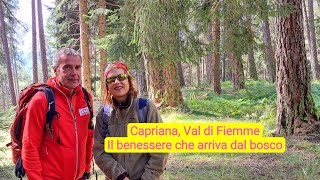 Val di Fiemme, il benessere che arriva dal bosco