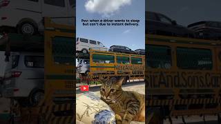 Show some love for drivers. 😊❤️ #truck #driver #life #cat