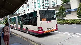 [Demo]🟥SMRT Buses MAN A24 SMB388S on Service 184 opposite Pending LRT Station