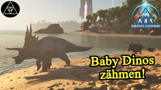 Jetzt ist Mama Trizeratops aber sauer! ► ASA E5 - ARK: Survival Ascended