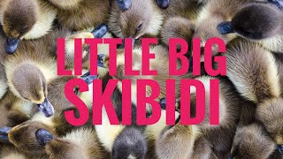 Little Big - Skibidi