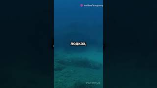 Золото Германии #история #факты