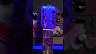 Washburn Bella Tono Suprema Playthru