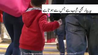 2 line funny urdu poetry whatsapp status