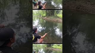 Mancing Wader Teknik Pecut di Kali Kuning Jogja Strike Wader Kepek #microfishing #mancingwader