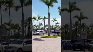 【4K】Walking in Hollywood, Florida 🇺🇸 | USA in 4K #shorts