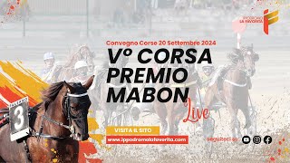 Live V° Corsa del 20 Settembre 2024 - 5 Anni ed oltre - Metri 1600