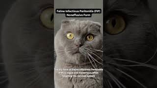 Feline Infectious Peritonitis (FIP) Noneffusive Form