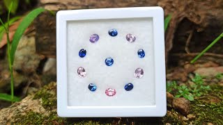 Ceylon Natural Royal Blue Sapphire and Pink to Purple Range Faceted Sapphire Collection