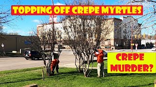 TRIMMING A CREPE MYRTLE | How I do it | Crepe Myrtle trimming advice | What is "crepe murder"?