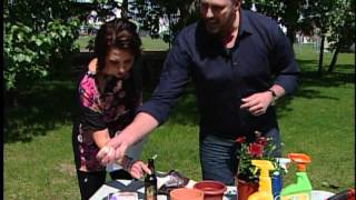 Dispelling Common Gardening Myths - CTV Edmonton (May 28, 2012)