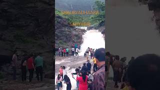 Shauryadhara flowing from the Sahyadri mountain ranges on maharashtra #shorts #sahyadri