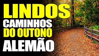 OS MAIS LINDOS CAMINHOS DO OUTONO ALEMÃO