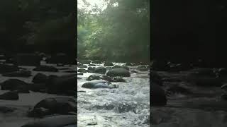 Relaxing Video: River of Calmness, Batu Apoi River, Temburong, Brunei