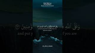 and put your trust in Allâh.. Surah Al Ma'idah Ayah 23 | Ezzedine Al Awami #quran #ytshorts #islam