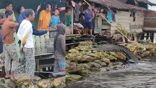 GEMPAR‼️KEMUNCULAN BUAYA TERBESAR DI WAKAI TOJO UNA UNA SULAWESI TENGAH.