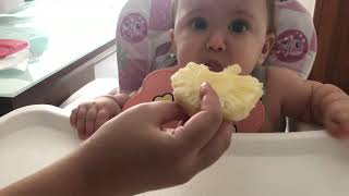 Bebê comendo abacaxi 🍍- Rebeca Wajsfeld