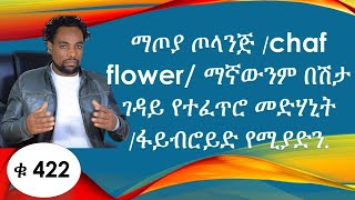 ማጦያ ጦላንጅ /chaf flower/ ማኛውንም በሽታ ገዳይ የተፈጥሮ መድሃኒት /ፋይብሮይድ የሚያድን.