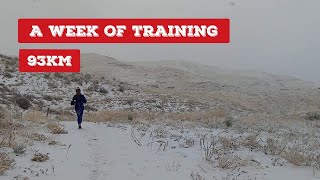 A Week of a Distance Runner/ Fall 2019/ Pinay Runner in Colorado