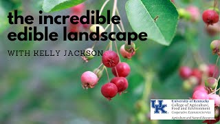 The Incredible Edible Landscape