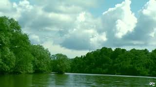 VIRAL BRUNEI VIDEO(55)- BRUNEI'S BEAUTIFUL NATURE