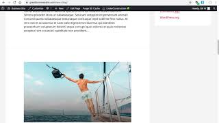 Create Default Blog Page in Astra Theme of WordPress Using Classic Editor