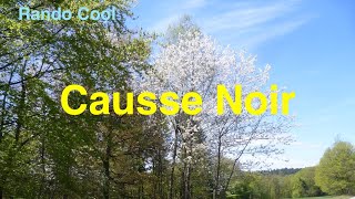 S3-04-Le Causse Noir / #CausseNoir