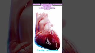 Cardiac Temponade 3d animation#trendingshorts#shortvideo#shortfeed#humanheart#explore#heartbeat