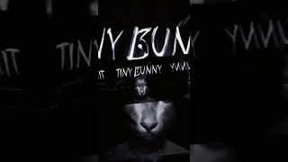 TINY BUNNY. Tiny bunny - новелла зайчик