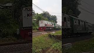 kereta Api Tawang Alun melintas #bangannur #train #perlintasankeretaapi