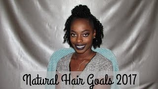 Natural Hair Goals for 2017