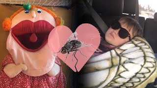 AN AFFAIR WITH A FLY?