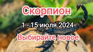 СКОРПИОН 🕊️🦂 1 - 15 июля 2024. Тароскоп.