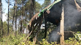 SEJUKNYA⁉️ketika main keu kebun di tengah hutan,sambil bakar pisang bakar di saung wa Entur...