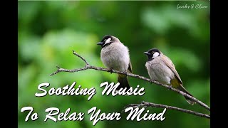 Soothing Music to Relax Your Mind